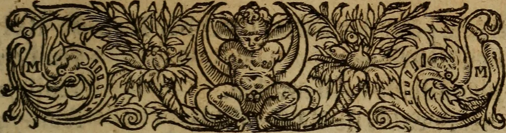 An illustration from Les remonstrances faictes av Roy loys vnzieme, svr les priuileges de l'Eglise Gallicane, & les plainctifs & doleances du peuple. .., 1561, leaf 286