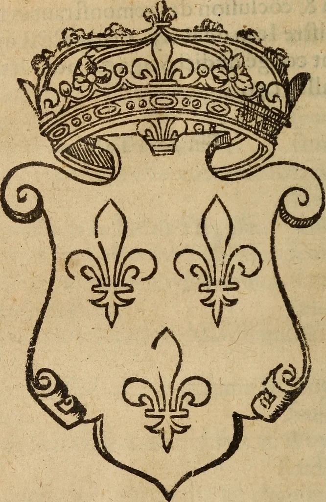 An illustration from Les remonstrances faictes av Roy loys vnzieme, svr les priuileges de l'Eglise Gallicane, & les plainctifs & doleances du peuple. .., 1561, leaf 289