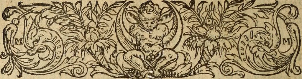 An illustration from Les remonstrances faictes av Roy loys vnzieme, svr les priuileges de l'Eglise Gallicane, & les plainctifs & doleances du peuple. .., 1561, leaf 59
