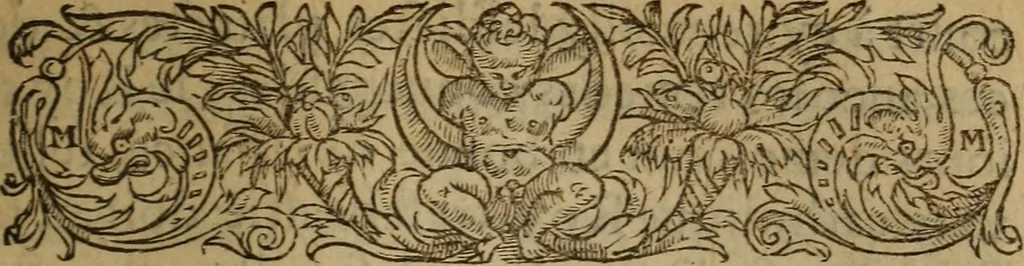 An illustration from Les remonstrances faictes av Roy loys vnzieme, svr les priuileges de l'Eglise Gallicane, & les plainctifs & doleances du peuple. .., 1561, leaf 6