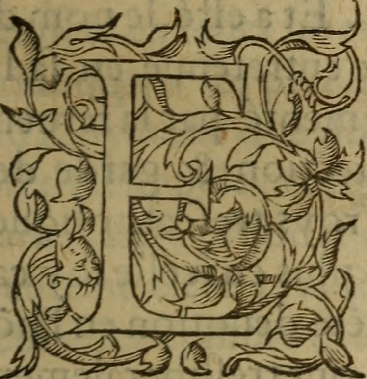An illustration from Les remonstrances faictes av Roy loys vnzieme, svr les priuileges de l'Eglise Gallicane, & les plainctifs & doleances du peuple. .., 1561, leaf 6