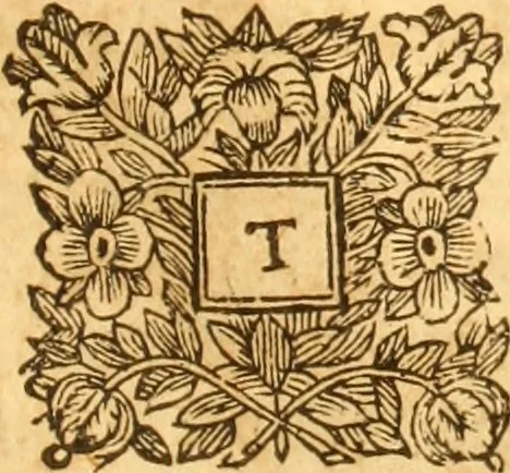 An illustration from Les reports du treserudite Edmund Anderson : chivalier, nadgairs, seigniour chief justice del Common-bank. Des mults principals cases argues & adjuges en le temps del jadis roign Elizabeth cibien en le Common-bank come devant touts les juges de cest roialme [1534-1604], 1664, leaf 600