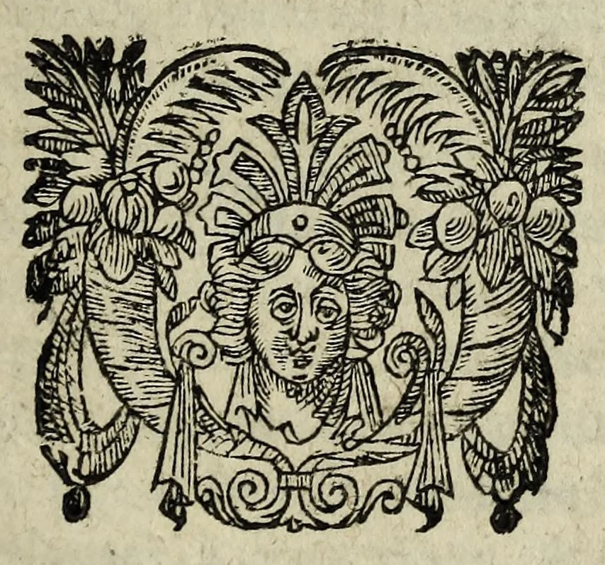 An illustration from Les Reproches faicts aux Princes : retirez de la Cour, en la derniere assemblée de Soissons. Par le sieur R.D.M. naguieres Cornette de leurs Compagnies, à present reduit au seruice du Roy., 1617, leaf 5