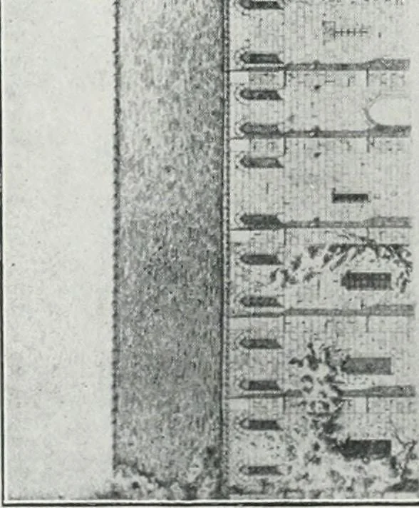 An illustration from Les Salons d'architecture, 1907, leaf 63