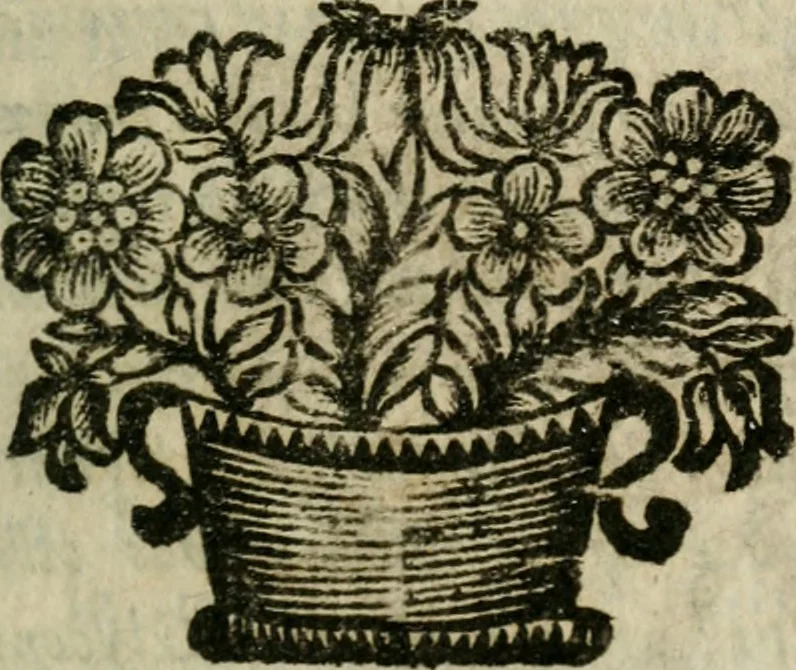 An illustration from Les Satyres de Juvenal et de Perse, 1687, leaf 514