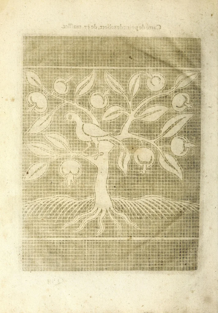 An illustration from Les secondes oeuures et subtiles inuentions de lingerie du seigneur Federic de Vinçiolo Venitien : nouuellement augmenté de plusieurs carrez de point de rebort, ou sont representees plusieurs figures de reseau, nombres de carrez & bordures tous differents, le tout de poinct conté, auec autres sortes de carrez de nouuelle inuention non encores vues, 1603, leaf 132