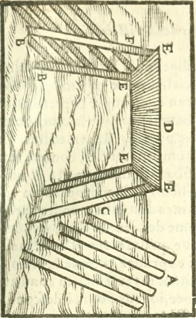 An illustration from Les secrets et merueilles de nature, recueillis de diuers autheurs & diuisez en XVII. liures, 1586, leaf 1046