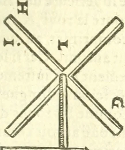 An illustration from Les secrets et merueilles de nature, recueillis de diuers autheurs & diuisez en XVII. liures, 1586, leaf 1054