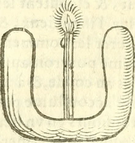 An illustration from Les secrets et merueilles de nature, recueillis de diuers autheurs & diuisez en XVII. liures, 1586, leaf 1153