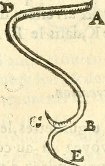 An illustration from Les secrets et merueilles de nature, recueillis de diuers autheurs & diuisez en XVII. liures, 1586, leaf 1159