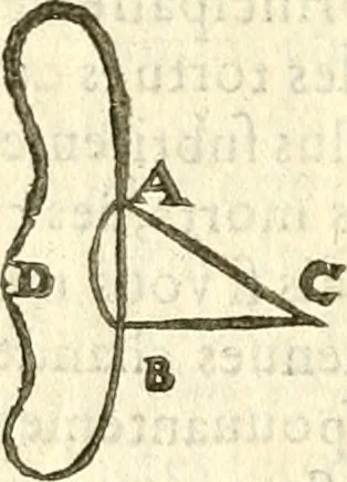 An illustration from Les secrets et merueilles de nature, recueillis de diuers autheurs & diuisez en XVII. liures, 1586, leaf 1163