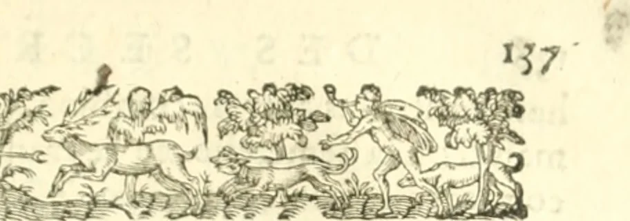 An illustration from Les secrets et merueilles de nature, recueillis de diuers autheurs & diuisez en XVII. liures, 1586, leaf 154