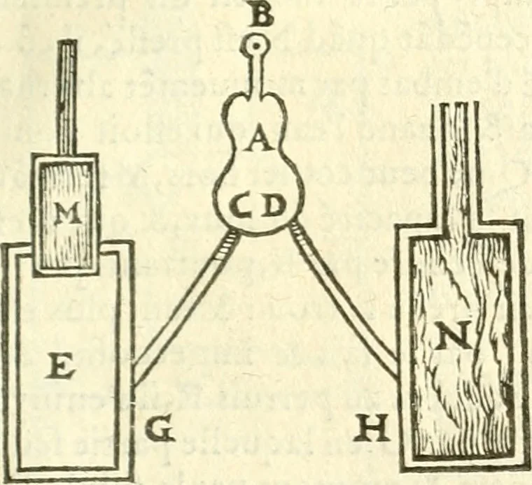 An illustration from Les secrets et merueilles de nature, recueillis de diuers autheurs & diuisez en XVII. liures, 1586, leaf 838