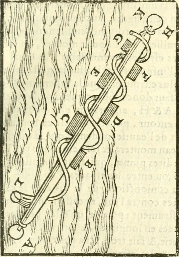 An illustration from Les secrets et merueilles de nature, recueillis de diuers autheurs & diuisez en XVII. liures, 1586, leaf 848