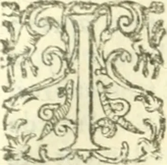 An illustration from Les secrets et merueilles de nature, recueillis de diuers autheurs & diuisez en XVII. liures, 1586, leaf 852