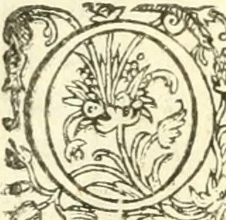 An illustration from Les secrets et merueilles de nature, recueillis de diuers autheurs & diuisez en XVII. liures, 1586, leaf 865