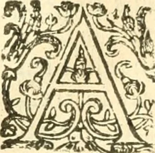 An illustration from Les secrets et merueilles de nature, recueillis de diuers autheurs & diuisez en XVII. liures, 1586, leaf 899