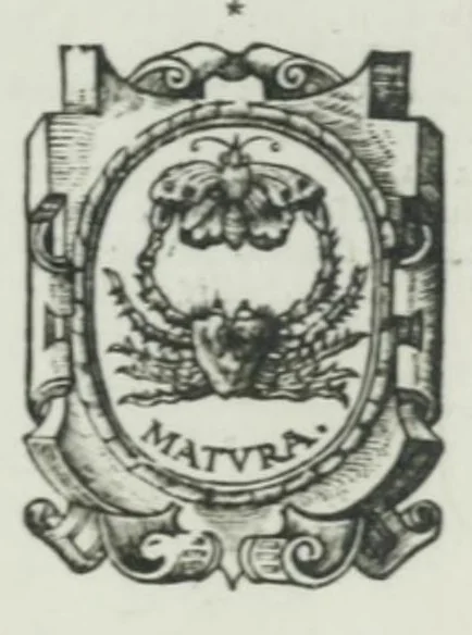 An illustration from Les simulachres & historiees faces de la mort, avtant elegammet pourtraictes, que artificiellement imaginées, 1547, leaf 1