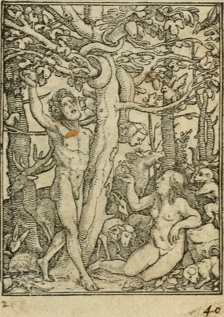 An illustration from Les simulachres & historiees faces de la mort, avtant elegammet pourtraictes, que artificiellement imaginées, 1547, leaf 2