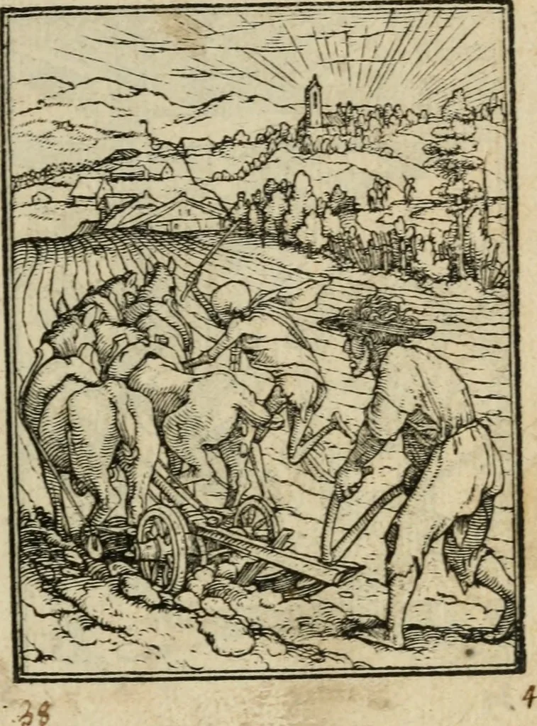 An illustration from Les simulachres & historiees faces de la mort, avtant elegammet pourtraictes, que artificiellement imaginées, 1547, leaf 24