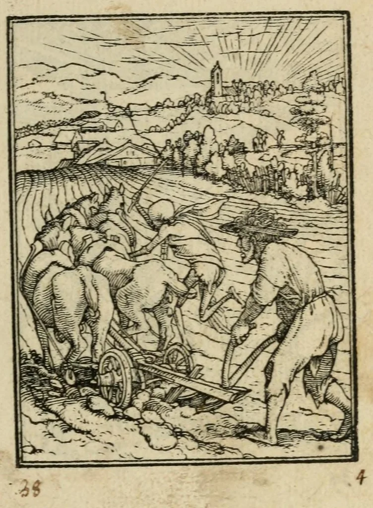 An illustration from Les simulachres & historiees faces de la mort, avtant elegammet pourtraictes, que artificiellement imaginées, 1547, leaf 25
