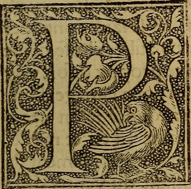 An illustration from Les simulachres & historiees faces de la mort, autant elegamme[n]t pourtraictes, que artificiellement imaginées, 1538, leaf 16
