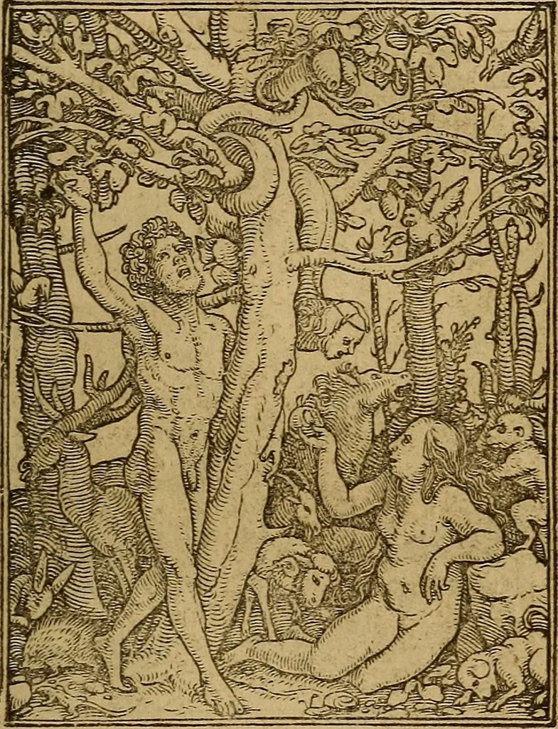 An illustration from Les simulachres & historiees faces de la mort, autant elegamme[n]t pourtraictes, que artificiellement imaginées, 1538, leaf 24
