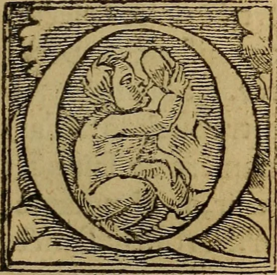 An illustration from Les simulachres & historiees faces de la mort, autant elegamme[n]t pourtraictes, que artificiellement imaginées, 1538, leaf 64