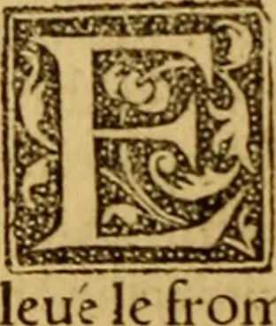 An illustration from Les simulachres & historiees faces de la mort, autant elegamme[n]t pourtraictes, que artificiellement imaginées, 1538, leaf 69