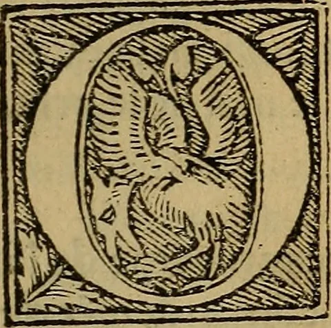 An illustration from Les simulachres & historiees faces de la mort, autant elegamme[n]t pourtraictes, que artificiellement imaginées, 1538, leaf 80