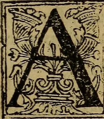 An illustration from Les simulachres & historiees faces de la mort, autant elegamme[n]t pourtraictes, que artificiellement imaginées, 1538, leaf 92