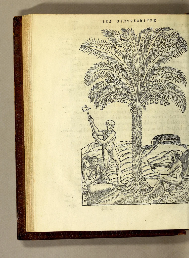 An illustration from Les singularitez de la France Antarctique, autrement nommée Amerique: & de plusieurs terre & isles decouuerte de nostre temps., 1558, leaf 166