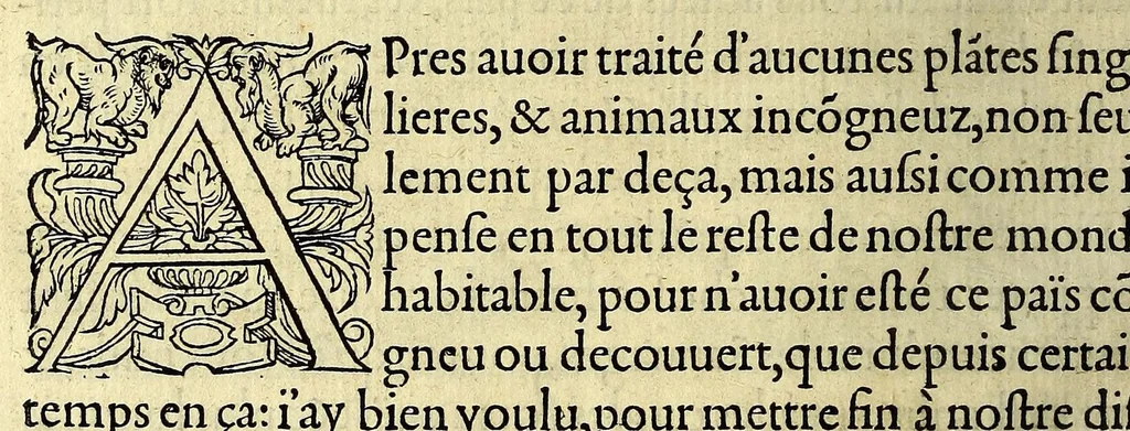 An illustration from Les singularitez de la France Antarctique, autrement nommée Amerique: & de plusieurs terre & isles decouuerte de nostre temps., 1558, leaf 222