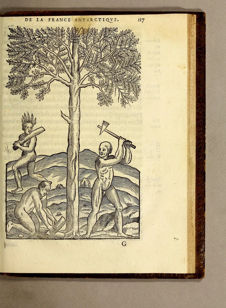 An illustration from Les singularitez de la France Antarctique, autrement nommée Amerique: & de plusieurs terre & isles decouuerte de nostre temps., 1558, leaf 255