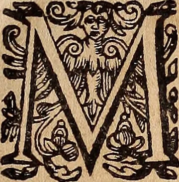 An illustration from Les singvliers et novveavx povrtraicts, 1589, leaf 6