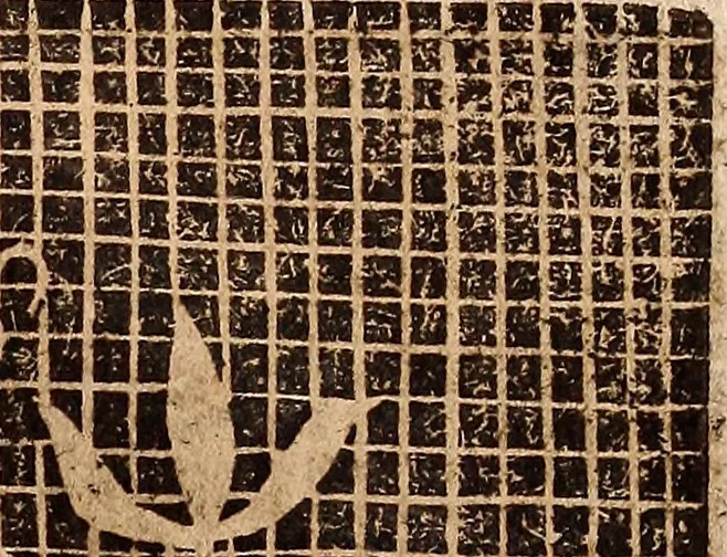 An illustration from Les singvliers et novveavx povrtraicts, 1589, leaf 66