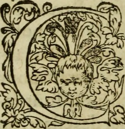 An illustration from Les six liures de la republique, 1577, leaf 131