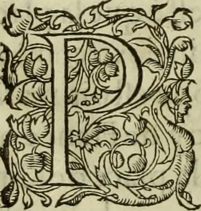 An illustration from Les six liures de la republique, 1577, leaf 167