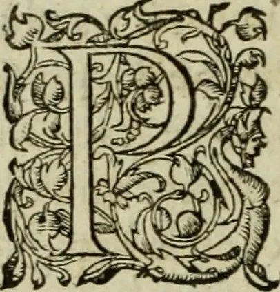 An illustration from Les six liures de la republique, 1577, leaf 197