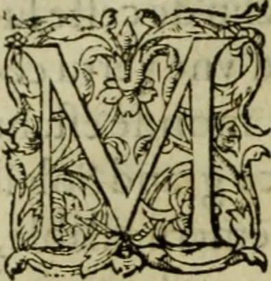 An illustration from Les six liures de la republique, 1577, leaf 21