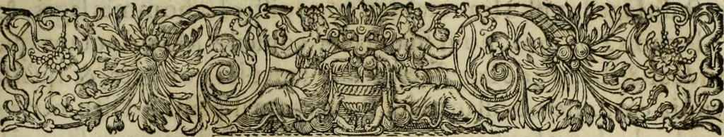 An illustration from Les six liures de la republique, 1577, leaf 264