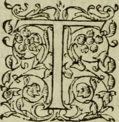 An illustration from Les six liures de la republique, 1577, leaf 27