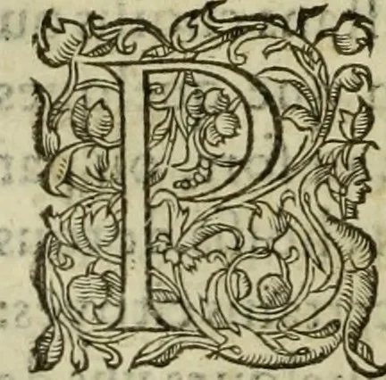 An illustration from Les six liures de la republique, 1577, leaf 313
