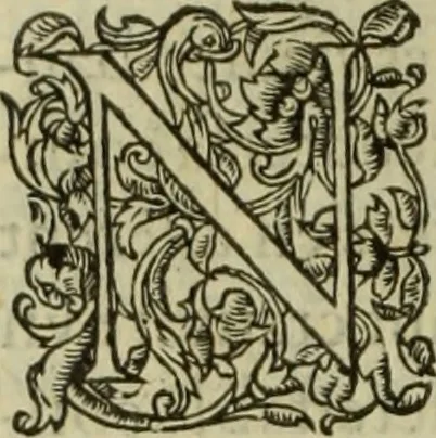 An illustration from Les six liures de la republique, 1577, leaf 329