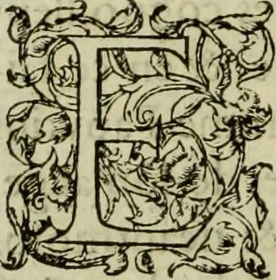 An illustration from Les six liures de la republique, 1577, leaf 345