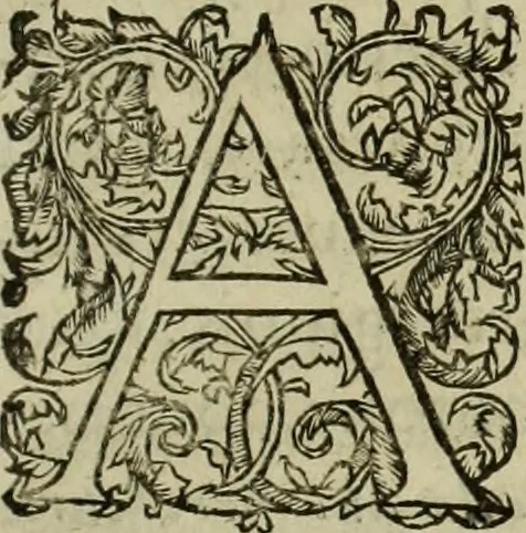 An illustration from Les six liures de la republique, 1577, leaf 360