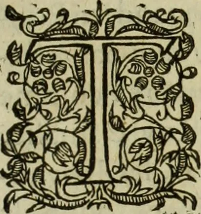 An illustration from Les six liures de la republique, 1577, leaf 382