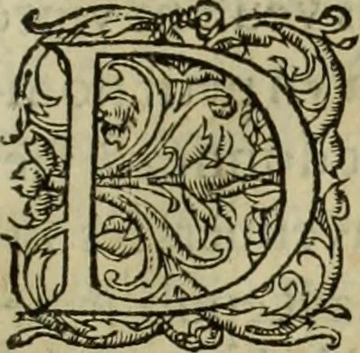 An illustration from Les six liures de la republique, 1577, leaf 438