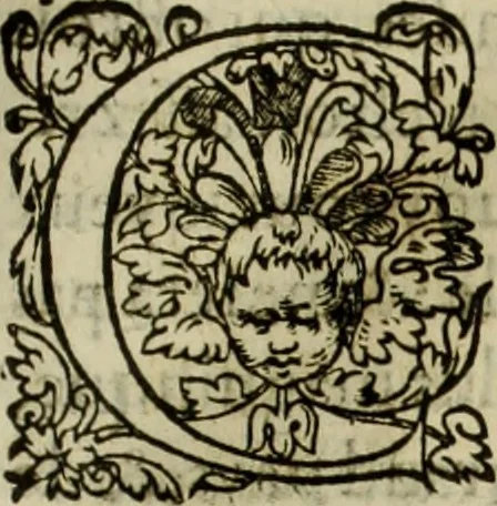 An illustration from Les six liures de la republique, 1577, leaf 454