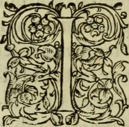 An illustration from Les six liures de la republique, 1577, leaf 459